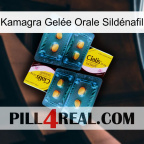 Kamagra Gelée Orale Sildénafil cialis5